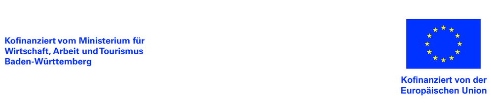 Logo ESFPlus